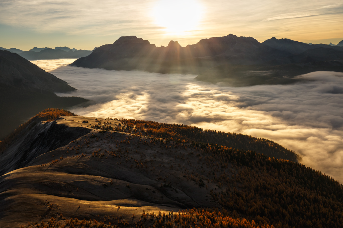 201408-SLL-Summer(PaulZizka) (59)