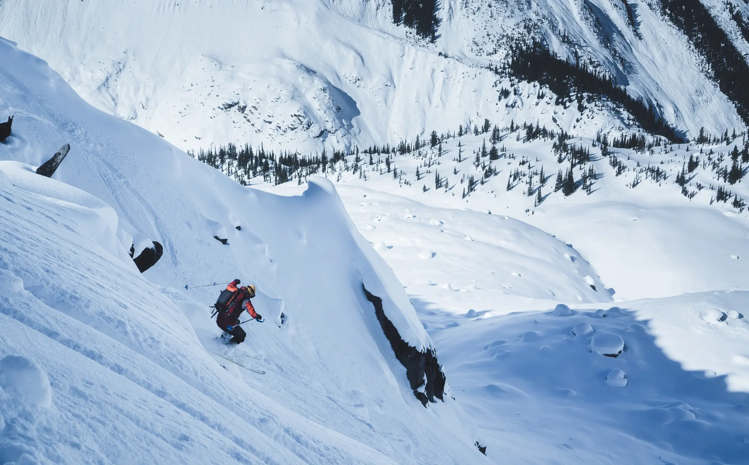 2019-Fairy-Meadow(Bianca Germain)-2